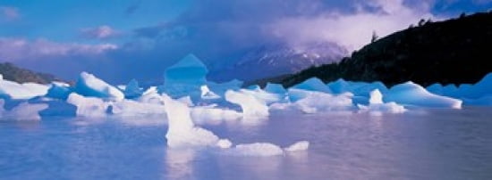 Icebergs floating on water Lago Grey Patagonia Chile Canvas Art - Panoramic Images (36 x 13)