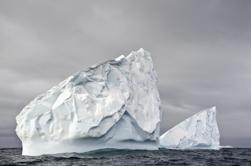 Icebergs in Graham Passage Antarctic Peninsula Canvas Art - Daisy Gilardini Design Pics (19 x 12)
