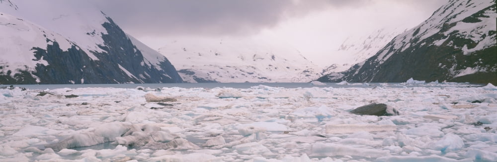 Icebergs in Portage Lake and Portage Glacier Alaska Canvas Art - Panoramic Images (27 x 9)