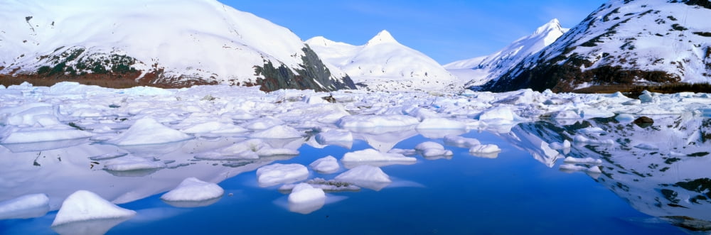 Icebergs in Portage Lake and Portage Glacier Alaska Canvas Art - Panoramic Images (36 x 12)