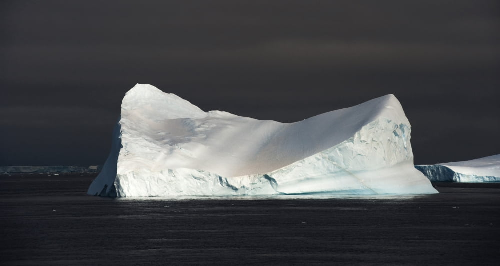 Icebergs in the Antarctic Sound Canvas Art - Steve JonesStocktrek Images (20 x 11)