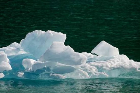 Iceburg I Canvas Art - Beth Wold (20 x 28)