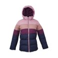thumbnail image 1 of Iceburg Toddler Girls Synthetic Down Jacket, Sizes 2T-3T, 1 of 1