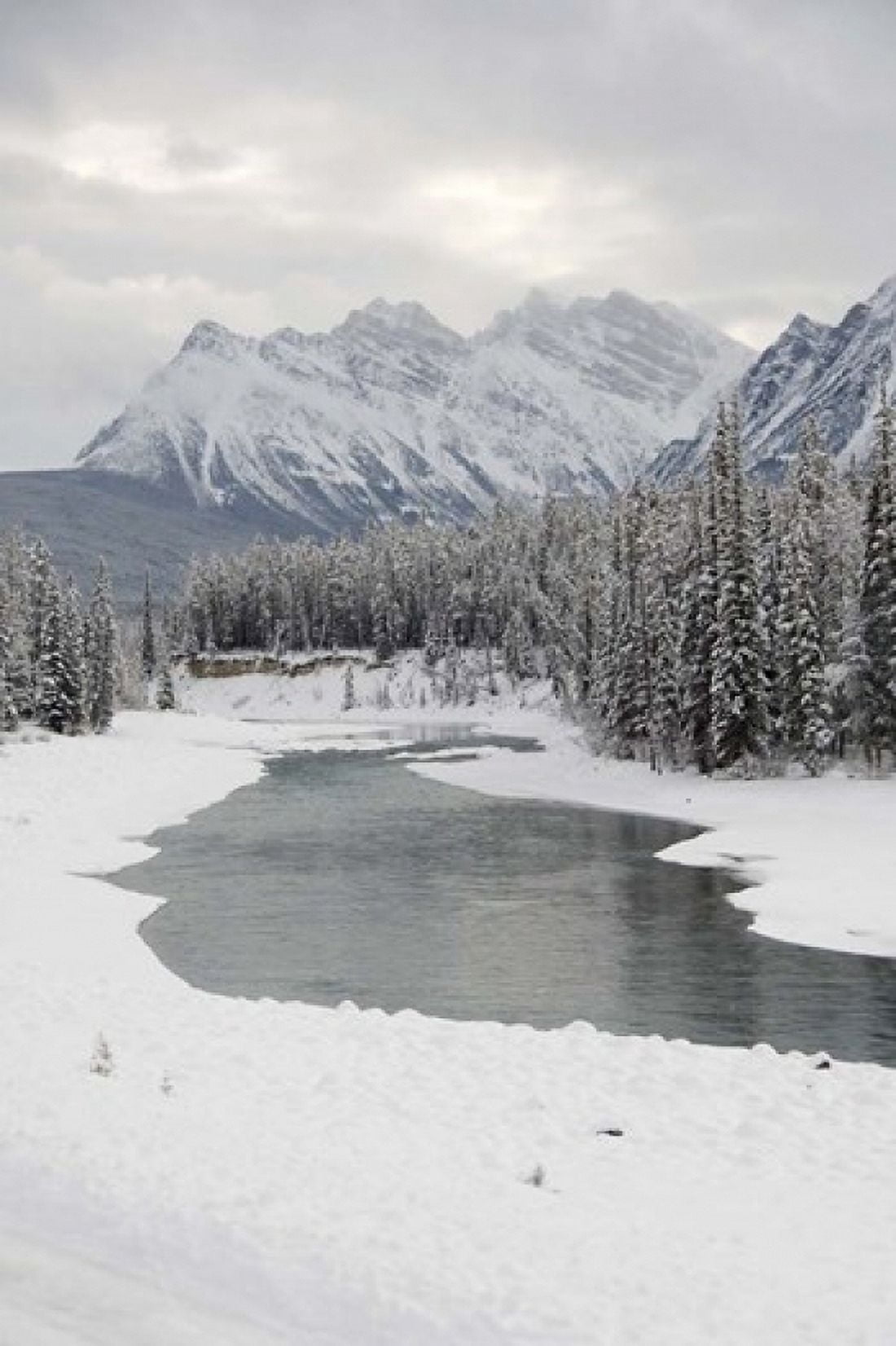 Icefields Parkway Jasper National Park Alberta Canada Canvas Art - Cindy Miller Hopkins DanitaDelimont (24 x 36)