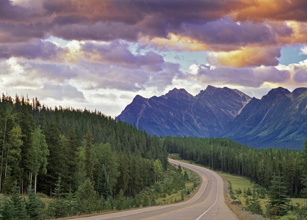 Icefields Parkway Jasper National Park Alberta Canvas Art - Darwin Wiggett Design Pics (34 x 24)