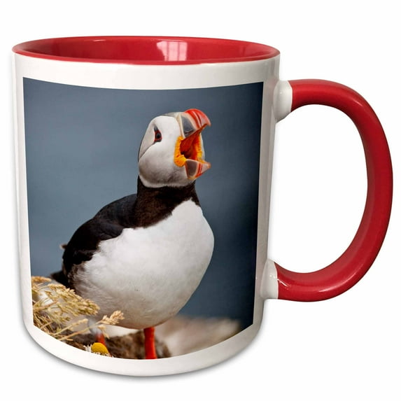 3drose, Iceland, Breidavik, Puffin Calling Out, 11oz Two-tone Red Mug