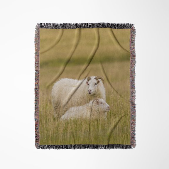 Iceland. View Of Icelandic Sheep., Woven Blanket