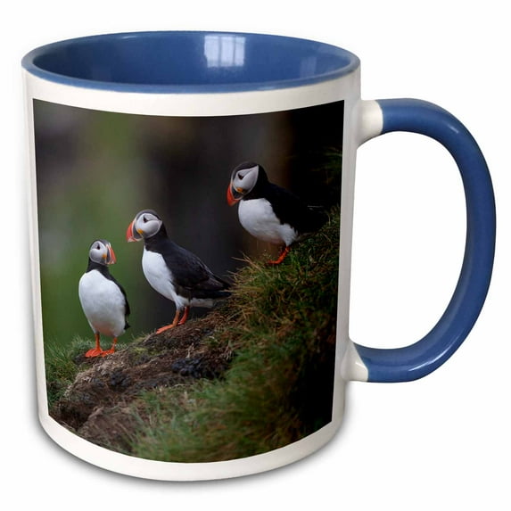 3drose, Iceland, Westfjords. a Group of Atlantic Puffins on a Grassy Hillside., 11oz Two-tone Blue Mug