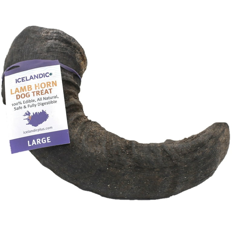 Icelandic+ Medium Lamb Horn Dog Treat Icelandic+ Medium Lamb Horn Dog Treat