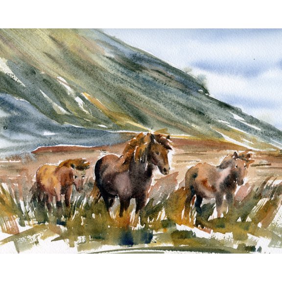 Icelandic Pony Foal Nordic Landscape Wall Art Decor Unframed Paper Print