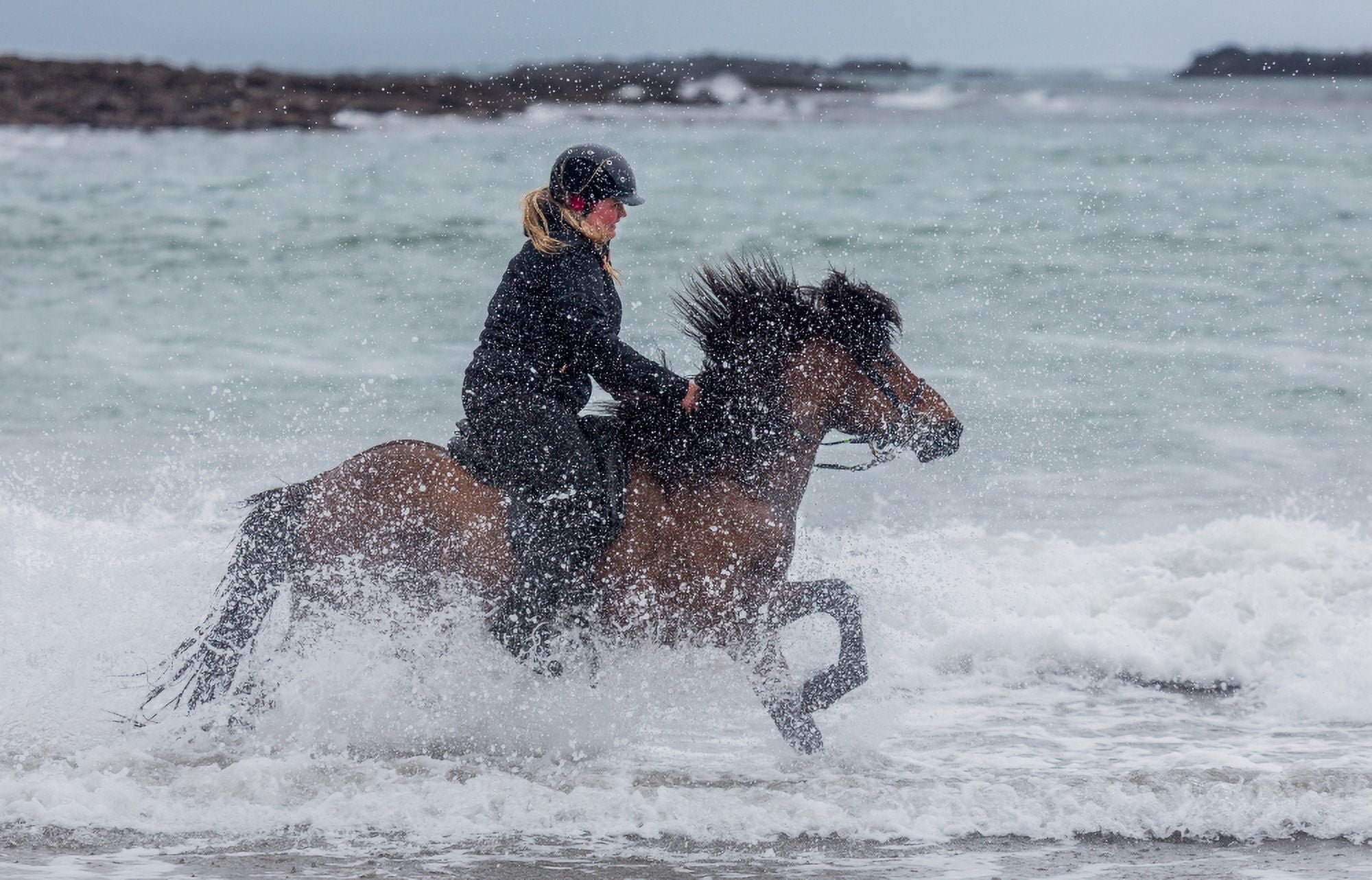 Icelandic horse and rider at Longufjorur beach Snaefellsnes Peninsula Iceland Canvas Art - Panoramic Images (27 x 9)