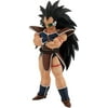 Character: Raditz
