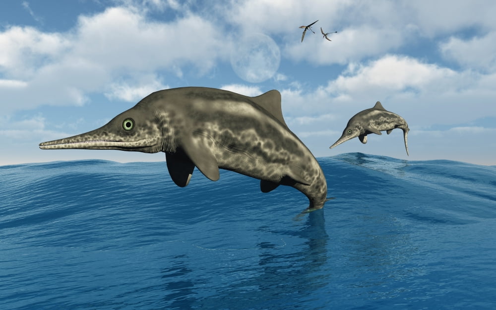 Ichthyosaurs jumping out of the water Canvas Art - Mark StevensonStocktrek Images (18 x 12)