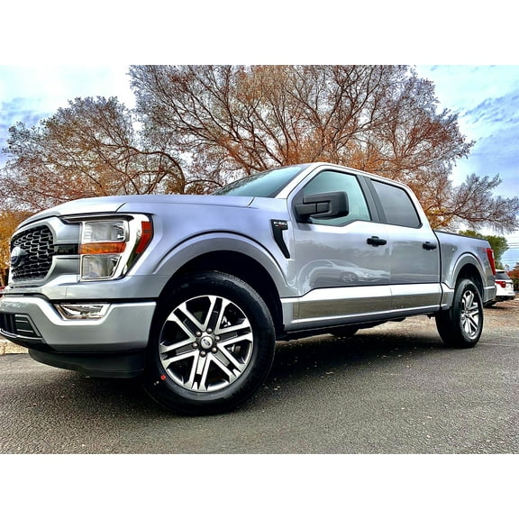 Ici (Innovative Creations) T4171 304M Rocker Panel Molding Fits 21 22 F 150 Fits select: 2022 FORD F150, 2021 FORD F150 SUPER CAB