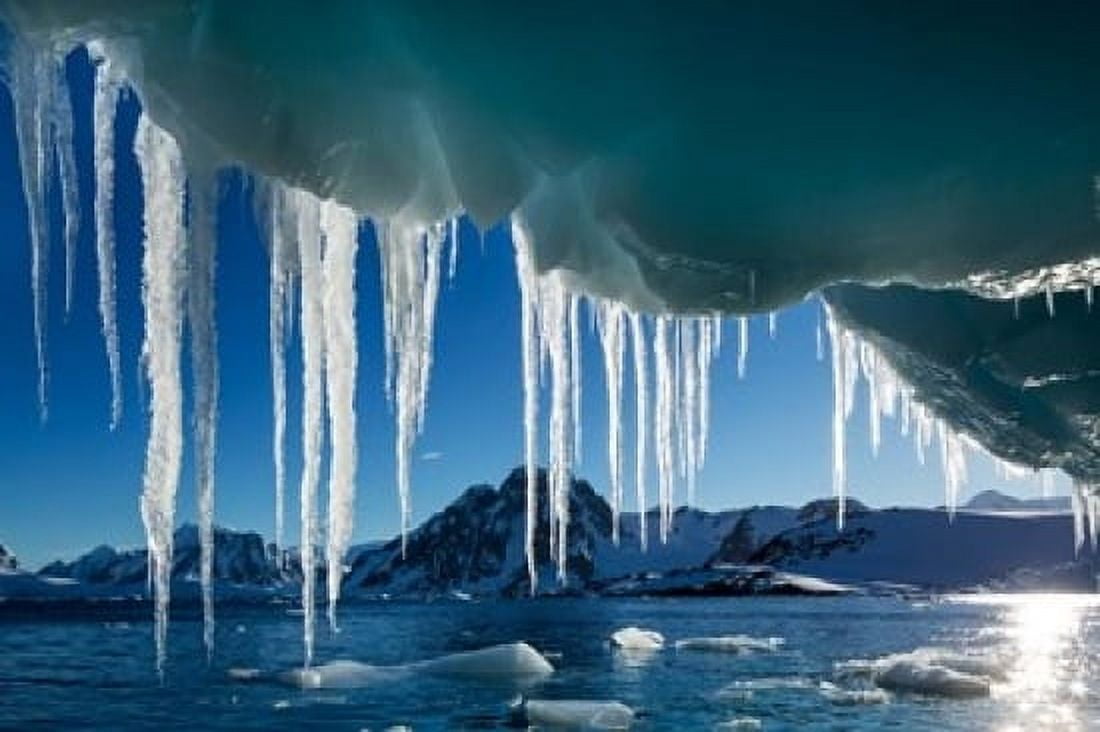 Icicle hangs from melting iceberg by Petermann Island Antarctica Canvas Art - Paul Souders DanitaDelimont (18 x 12)