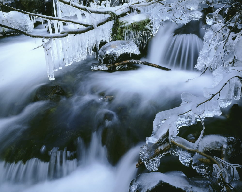 Icicles Hang Above River Chugach State Park Sc Ak Winter Scenic Canvas Art - Vance Gese Design Pics (34 x 26)