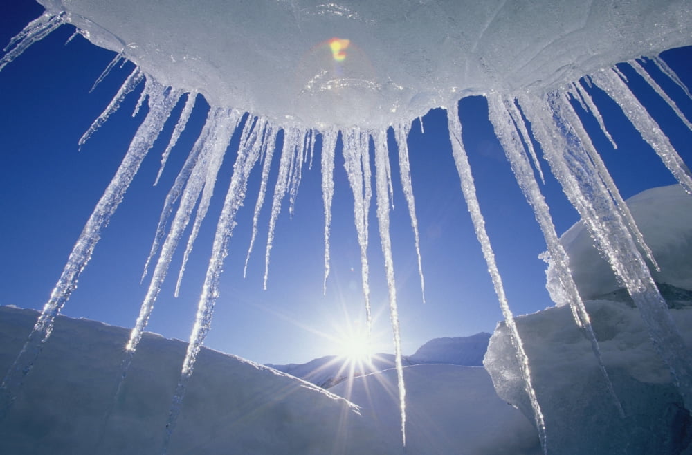 Icicles Hanging From Iceberg On Spencer Lake Kp Alaska Canvas Art - Calvin Hall Design Pics (19 x 12)