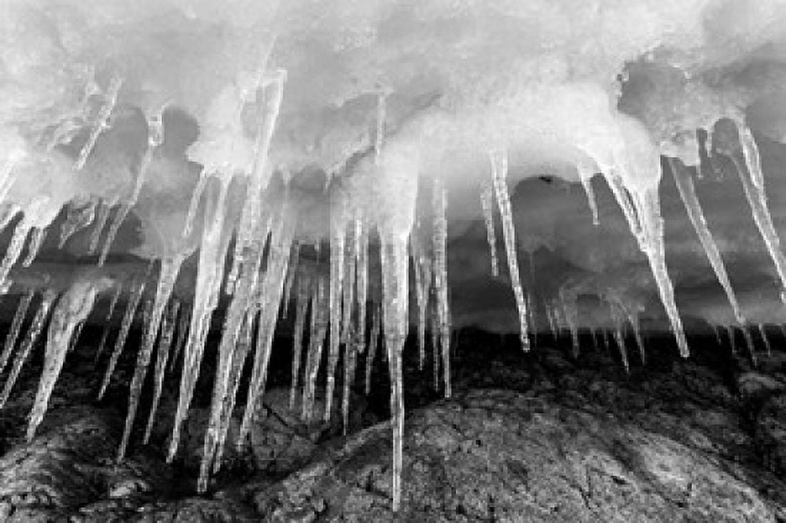 Icicles hang from an ice roof Cuverville Island Antarctica Canvas Art - Paul Souders DanitaDelimont (38 x 25)