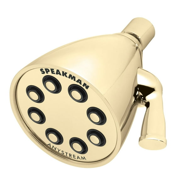 Icon Anystream Multi-Function Signature Brass Shower Head