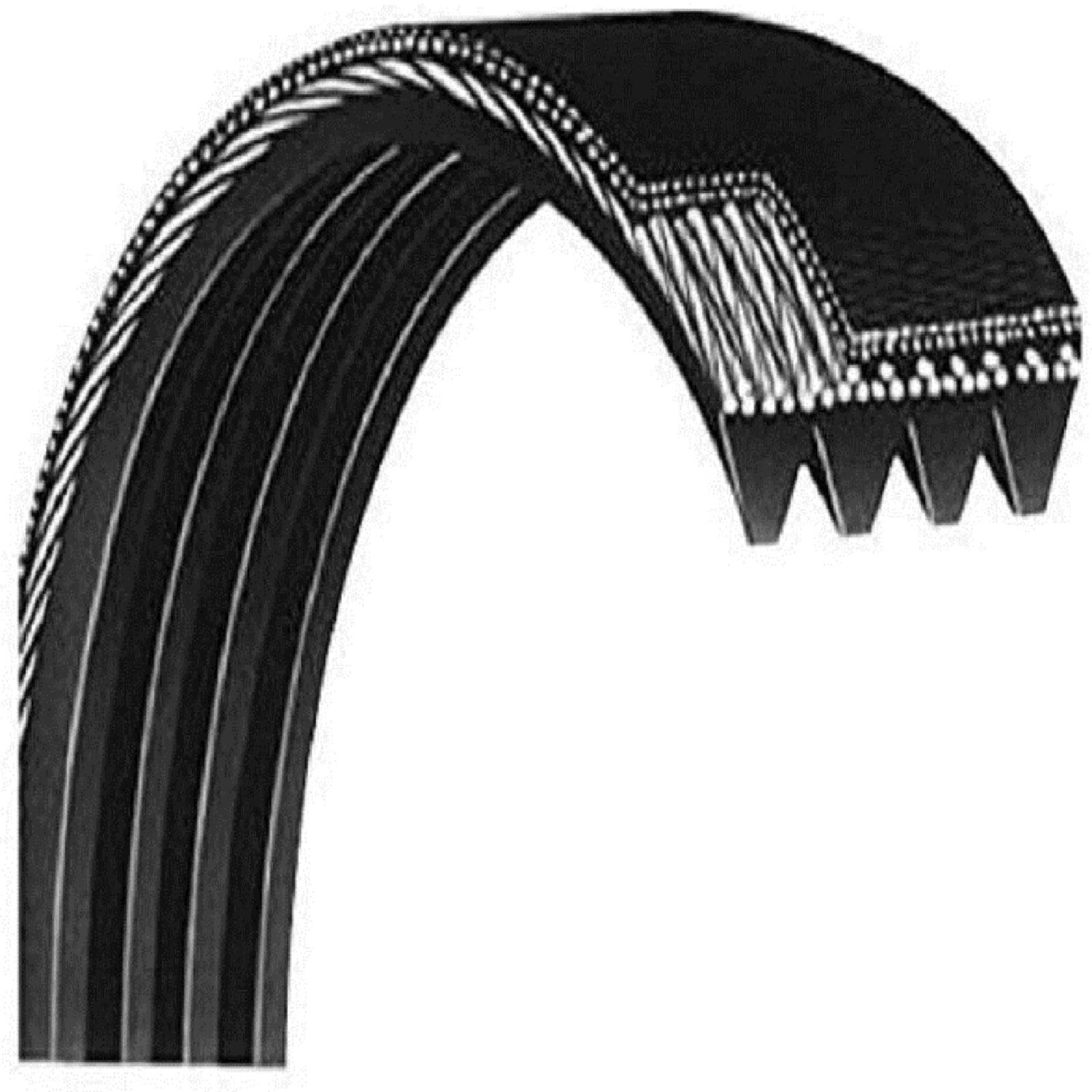 Icon Health Fitness Inc. d d Drive Belt 119199 Works with