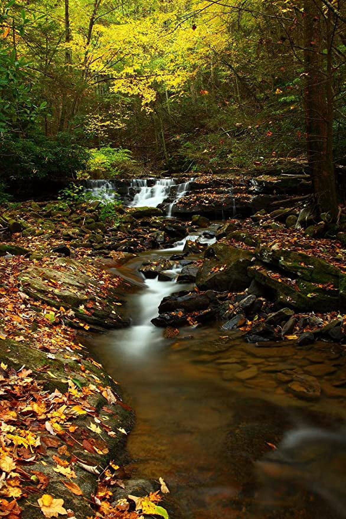 Iconic Arts Laminated 24x36 Poster: Golden Autumn Creek Waterfalls ...