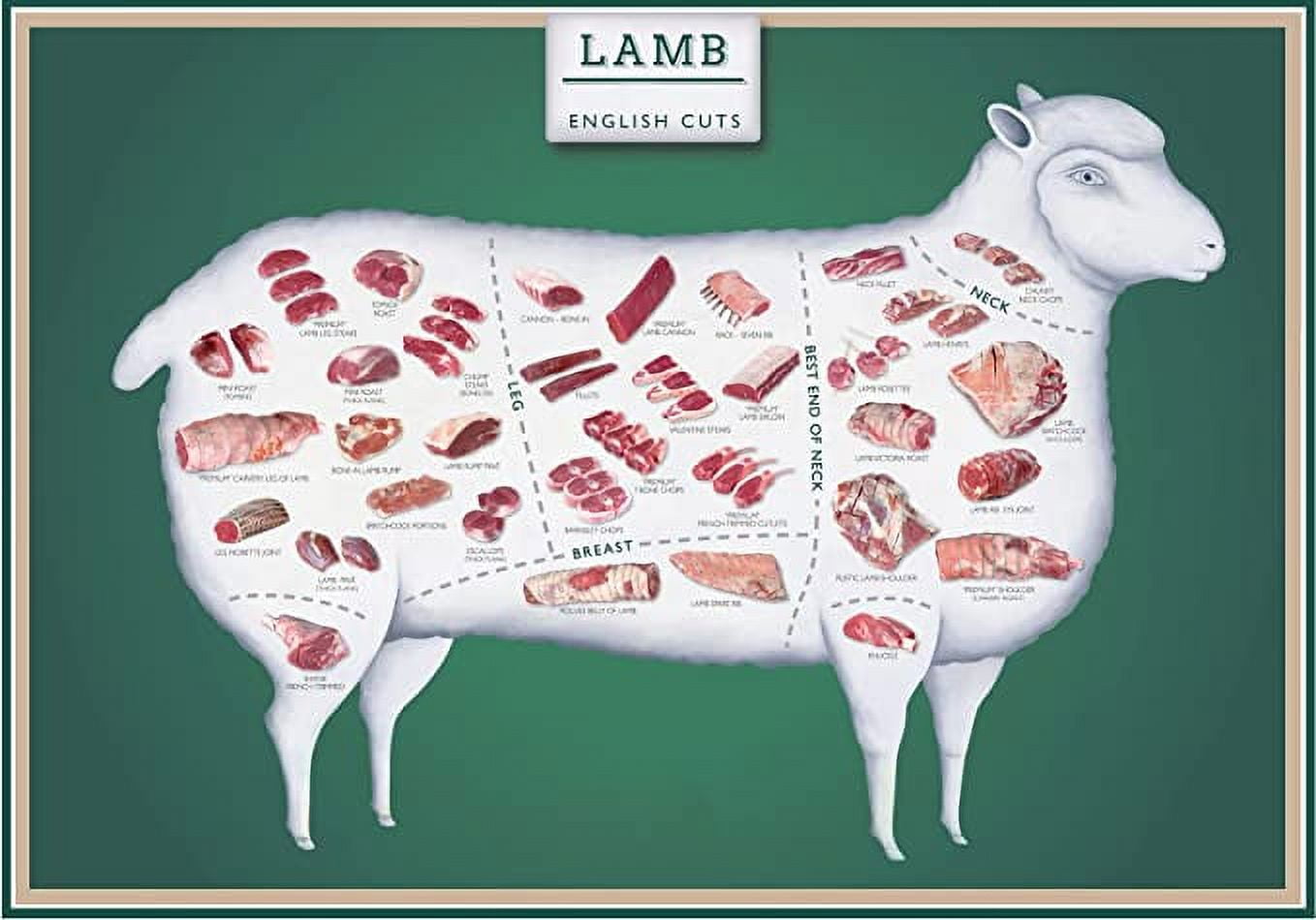 Iconic Arts Laminated 24x36 Poster: Lamb Cuts English Cut Butcher Chart