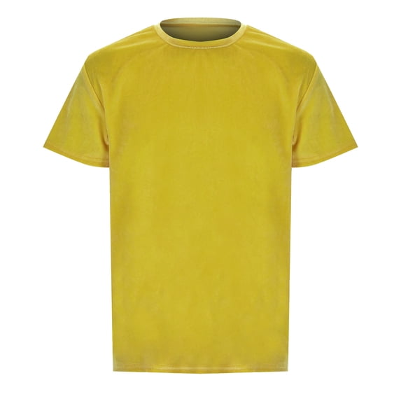 Icvfdpl Shirts For Men Velvet Velour Fashion Hip Hop Slim Short Sleeves Skin-Friendly Mens T-Shirts L