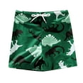 thumbnail image 1 of Icvfdpl Toddler Kids Boys Summer Print Shorts Fast Dry Beach Swimwear Swimming Trunks Clothes Trendy Baby Beachwear, 1 of 6