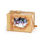 Icy Craft Peeking Package