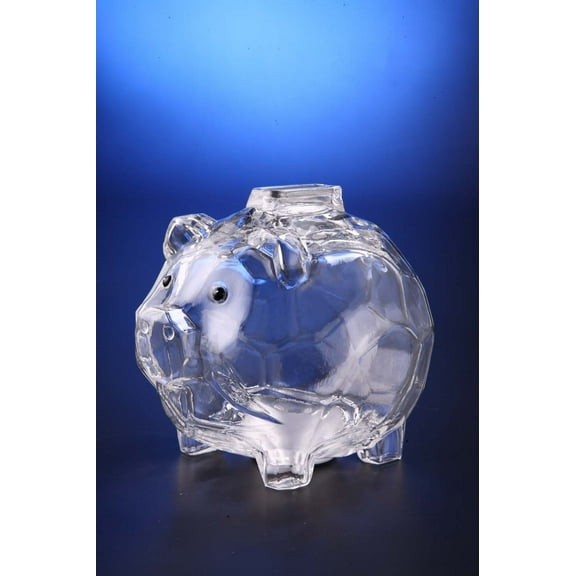 Icy Craft Piggy Bank