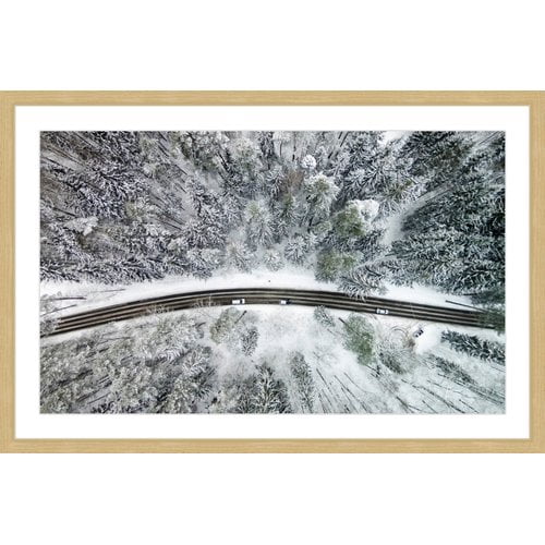 Icy Firs by Karolis Janulis Framed Photographic Print