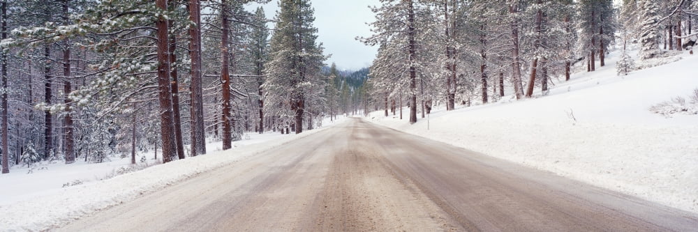 Icy road and snowy forest California Canvas Art - Panoramic Images (36 x 12)