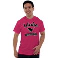 thumbnail image 1 of Idaho Cute Bald Eagle Souvenir Plus Size Crewneck Graphic Tee Shirt Brisco Brands 2X, 1 of 3