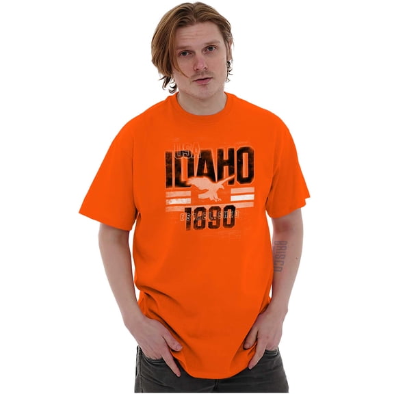 Idaho ID Distressed Vintage Eagle Plus Size Crewneck Graphic Tee Shirt Brisco Brands 2X