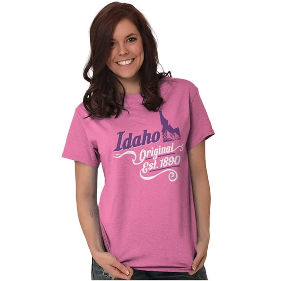 Idaho Mountain State Shape Filagree Women's Plus Size Graphic Tee Brisco Brands 2X