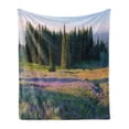 thumbnail image 1 of Idaho Soft Flannel Fleece Blanket, Meadow Covered with Violet Tone Flowers Council Mountains Nature Photo Print, Cozy Plush for Indoor and Outdoor Use, 70" x 90", Fawn and Multicolor, by Ambesonne, 1 of 5