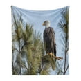 thumbnail image 1 of Idaho Soft Flannel Fleece Throw Blanket, American Bald Eagle on a Branch in Northern Gem State Photo, Cozy Plush for Indoor and Outdoor Use, 60" x 80", Army Green Ceil Blue, by Ambesonne, 1 of 5