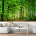 thumbnail image 1 of Idea4wall 7pcs Nature Forest Path Stick Wallpaper Removable Wall Murals Large Wall Stickers for Home Decoration, 72"x168", 1 of 5