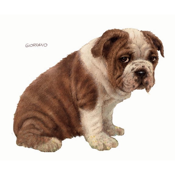 IdeaStix Bulldog Dog Pet-Sticker - Original Premium Double-Sided Peel & Stick Dog Applique for Sliding Glass Door and Windows - Washable - Heat and Water Resistant - UV Ink Printed