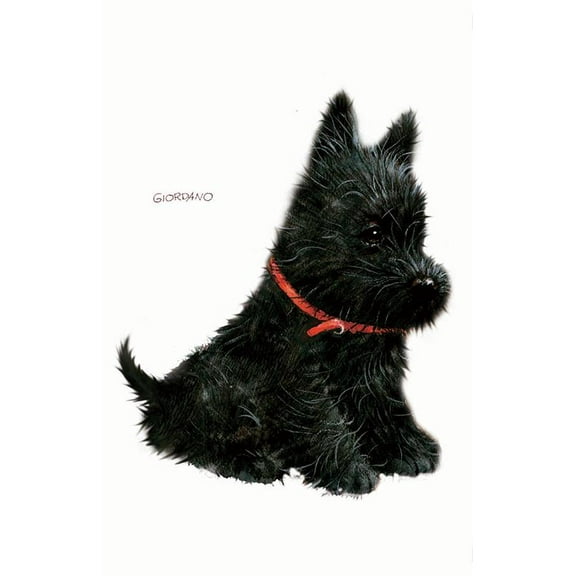 IdeaStix Schnauzer Dog Pet-Sticker - Original Premium Double-Sided Peel & Stick Dog Applique for Sliding Glass Door and Windows - Washable - Heat and Water Resistant - UV Ink Printed