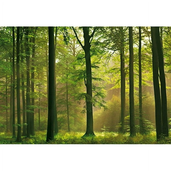 Ideal Décor Autumn Forest Unpasted Paper Wall Mural, 100.8 sq. ft.