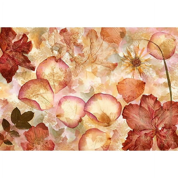 Ideal Décor Dried Flowers Wall Mural