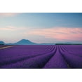 thumbnail image 1 of Ideal Décor Provence France Wall Mural, 1 of 3