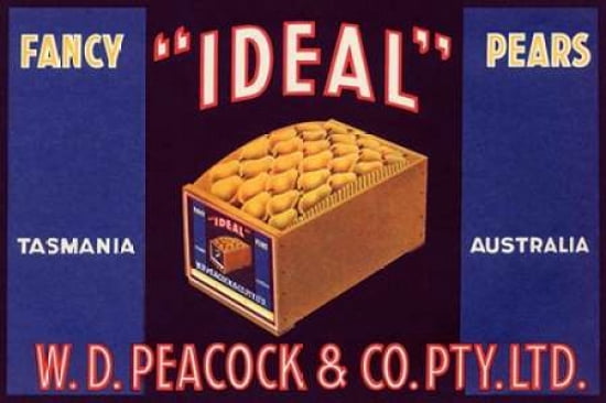 Ideal Fancy Pears Canvas Art - Unknown (24 x 36)
