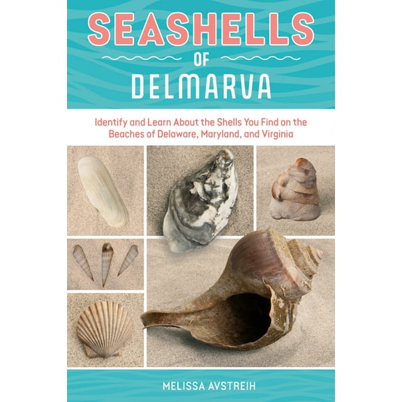Identify and Learn about Seashells: Hand Seashells of Delmarva: Identify and Learn about the Shells You Find on the Beaches of Delaware, Maryland, and Virginia, Book 2, (Paperback)