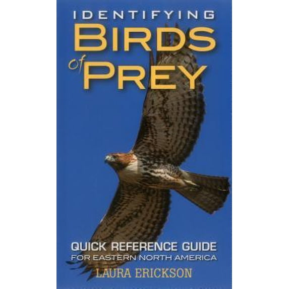 Identifying Birds of Prey : Quick Reference Guide for Eastern North America (Paperback)