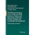 thumbnail image 1 of Identifying Emerging Issues in Disaster Risk Reduction, Migration, Climate Change and Sustainable Development: Shaping D, (Paperback), 1 of 1