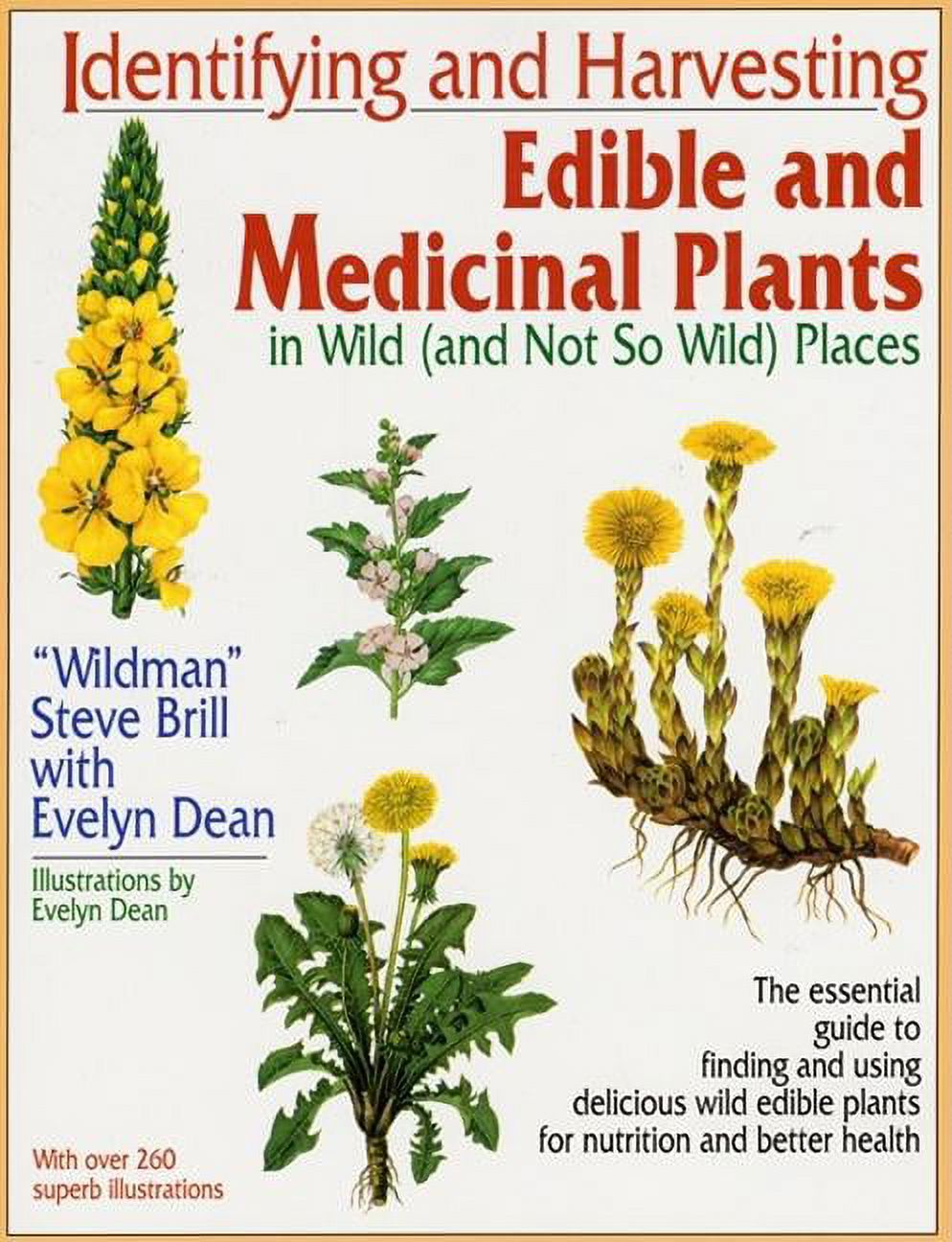 Identifying and Harvesting Edible and Medicinal Plants (Paperback) - image 1 of 1