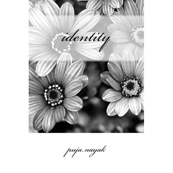 identity (Paperback)