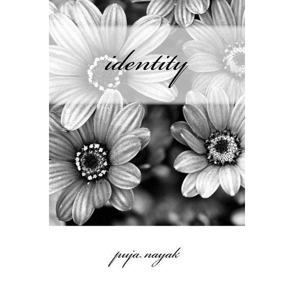 identity (Paperback)